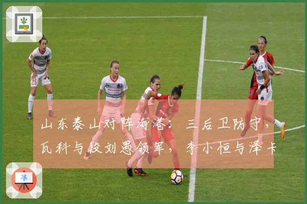 山东泰山对阵海港：三后卫防守，瓦科与段刘愚领军，李小恒与泽卡出击