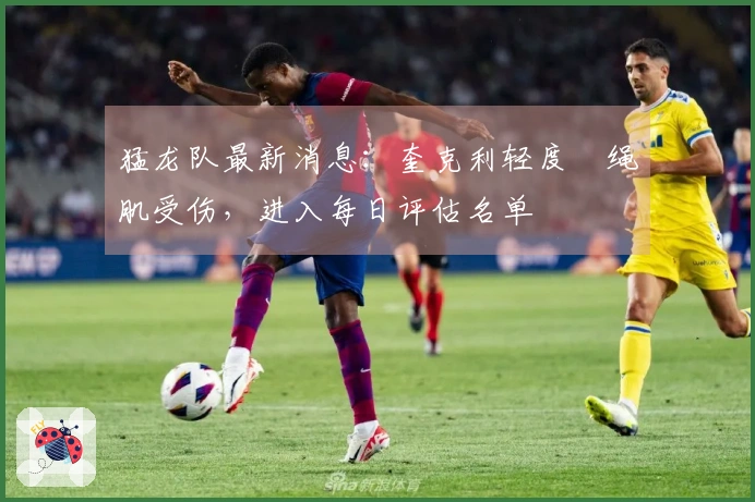 猛龙队最新消息：奎克利轻度腘绳肌受伤，进入每日评估名单