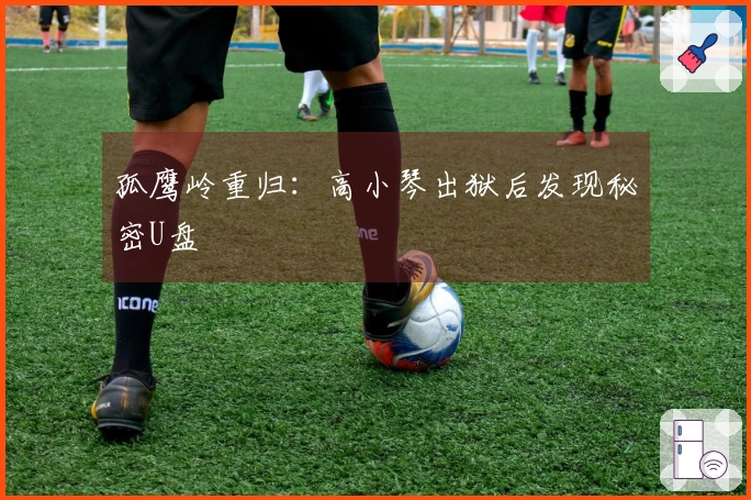 孤鹰岭重归：高小琴出狱后发现秘密U盘