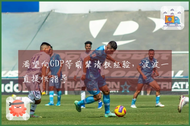 渴望向GDP等前辈请教经验，波波一直提供指导