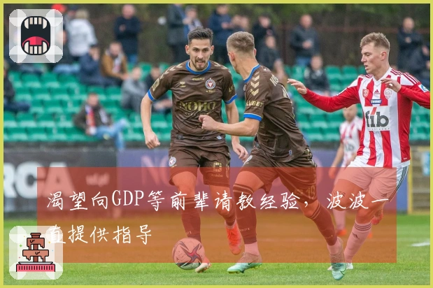 渴望向GDP等前辈请教经验，波波一直提供指导