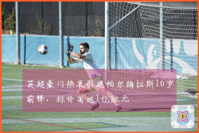 英超豪门热衷引进帕尔梅拉斯16岁前锋，标价高达1亿欧元