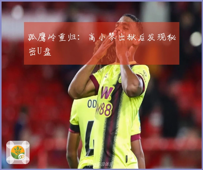 孤鹰岭重归：高小琴出狱后发现秘密U盘